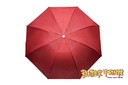 Umbrella Series UM05