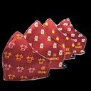 CNY Heng Ong Huat - Anti Bacterial Reusable Cloth Face Mask (BFE ≥99%)